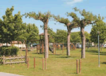 Camping Del Garda in Peschiera, Italian Lakes