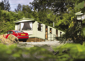 Avon Wood in Newby Bridge, Cumbria, North West England