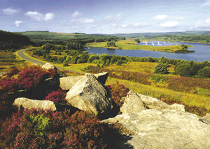 Kielder Water Lodges in Kielder Water, Northumberland, North East England