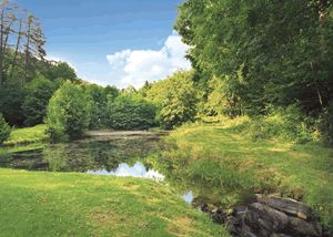 Penvale Lake Lodges in Llangollen, Denbighshire, North Wales