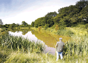 Avallon Lodges in Launceston, Cornwall, South West England