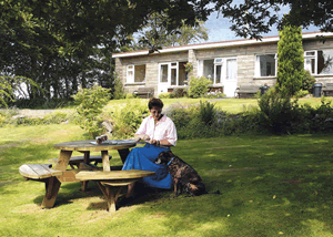 Dean Steep in Lynton, Devon, South West England