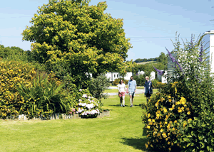 River Valley Country Park in Penzance, Cornwall, South West England